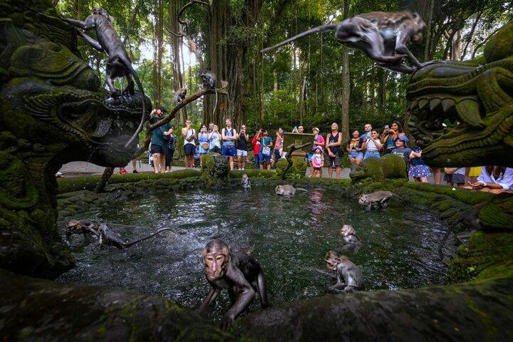 Bali Ubud Zipline, Monkey Forest and Waterfall Adventure