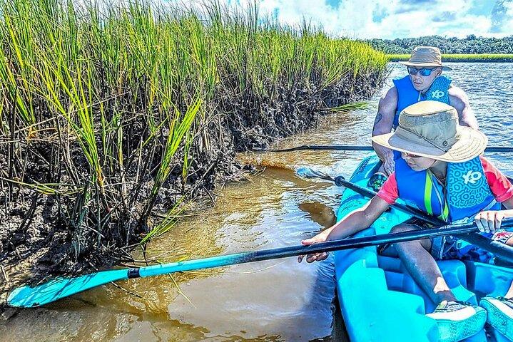 Amelia Island Kayak and Paddleboard Rentals Talbot State Park