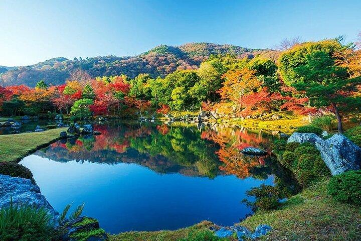 Kyoto Autumn Foliage Private Car Tour Temples and Gardens