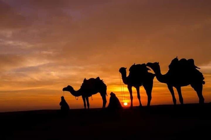 Best of Agafay: Quad,sunset Camel Ride, Dinner & fire show