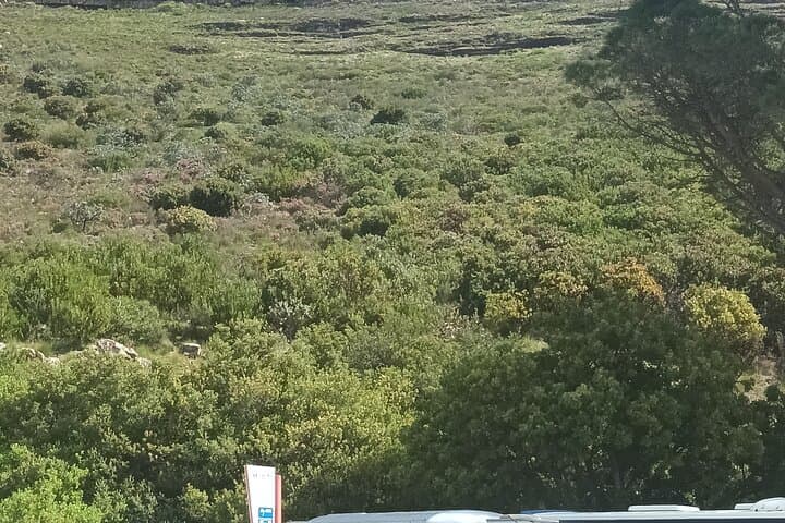 Half day :Table Mountain cable car Tickets