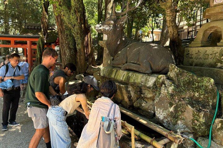 Nara Highlight Walking Tour with Furoshiki Experience with Lunch