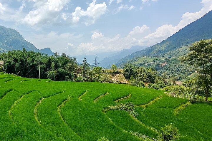 Be a Local: Sapa 2-Day Trekking & Homestay
