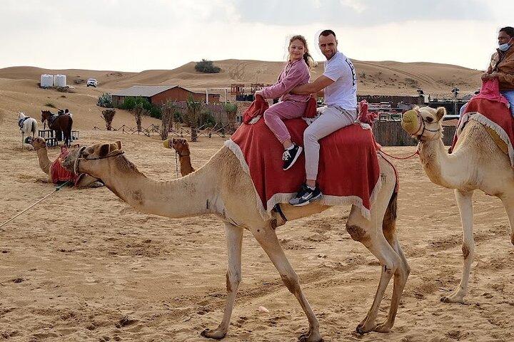 Private Abu Dhabi City Tour From Dubai