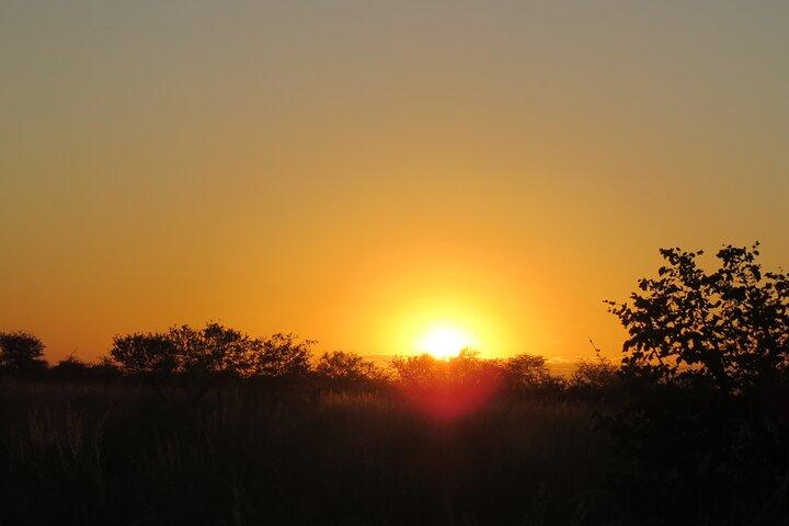 Full Day Hwange National Park Safari from Victoria Falls