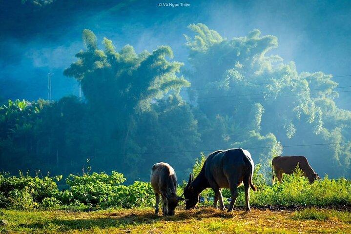 Sapa Highlights Getaway: 2-Day Journey with Luxury 5-Star Stay