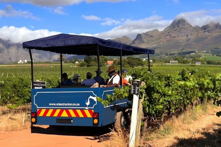Stellenbosch Wine Hop-on Hop-off Tractor Tour from Cape Town