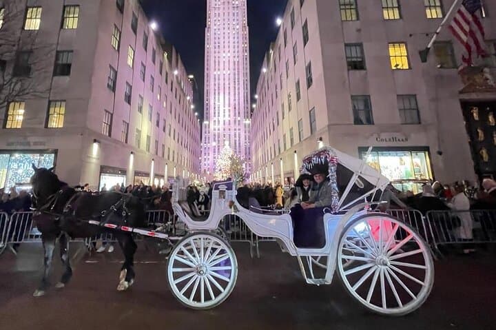 Amazing Horse and Carriage Rockefeller and Christmas lights tour