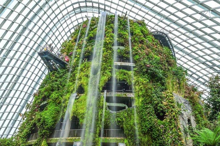 Gardens by the Bay Cloud Forest Flower Dome Options Supertree
