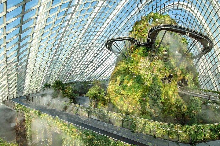 Gardens by the Bay Cloud Forest Flower Dome Options Supertree