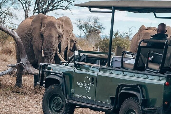 Remarkable Big 5 Sunrise Safari in Hoedspruit