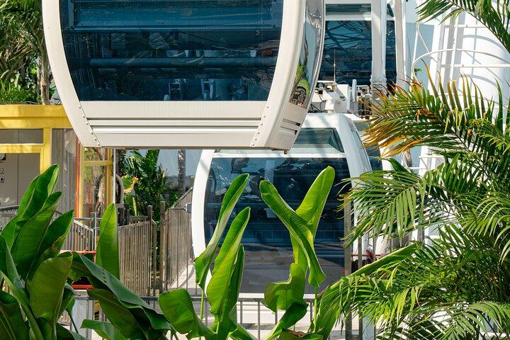 Elevate your Sunset Experience to New Heights!