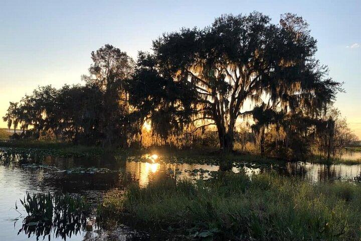 1 Hour Florida Everglades Wildlife Tour