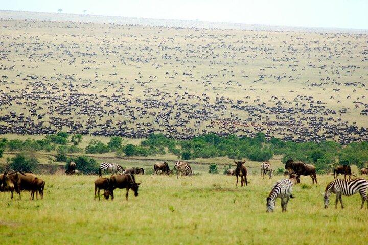 9 Day Kenya Safari Visit Top National Parks