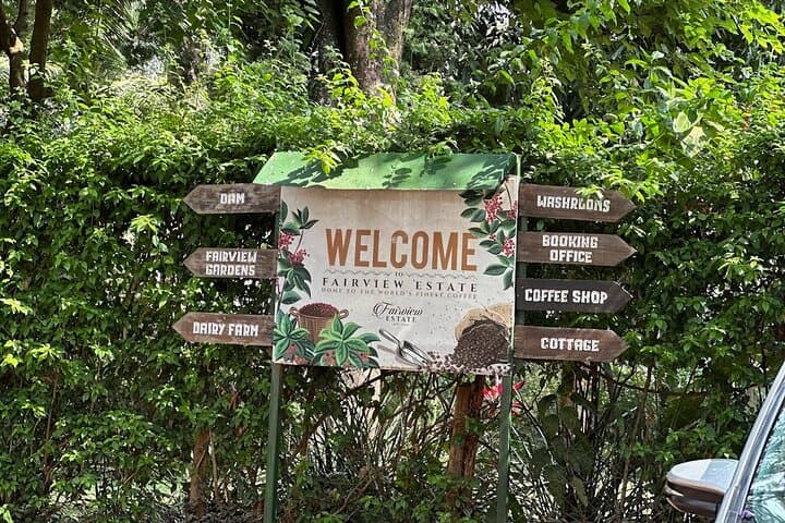 Kenya Coffee and Wildlife Safari 4 Day Adventure