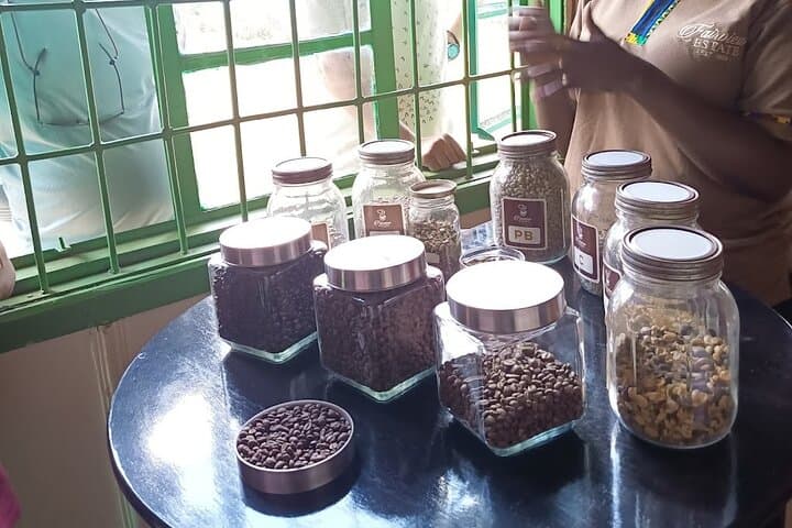 Kenya Coffee and Wildlife Safari 4 Day Adventure