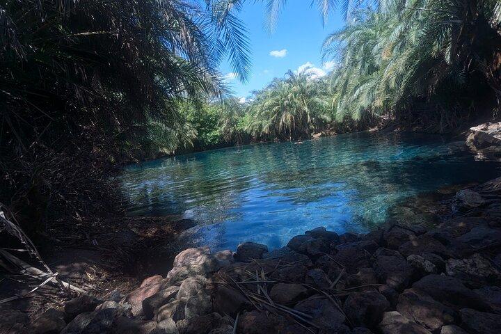 town trip and waterfall and kikuletwa hotspring day trip