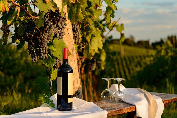 From Verona half day wine experience in Valpolicella and Amarone