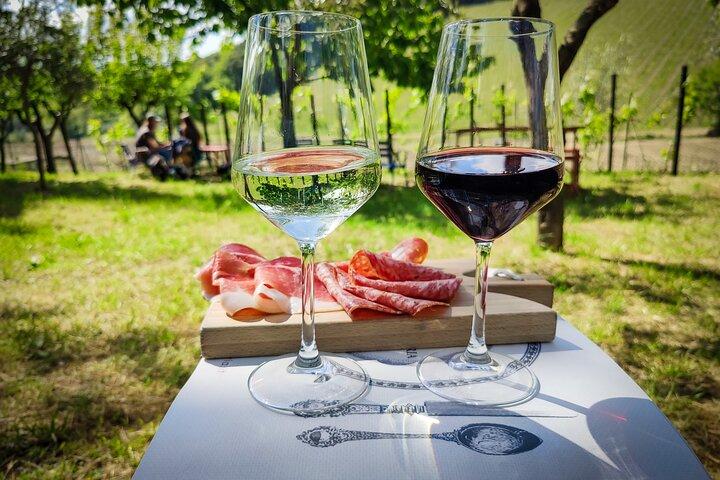 From Florence Tuscany Experience to Montepulciano and Montalcino