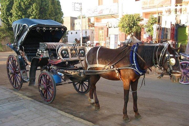 Cairo Night Walking Tour , Horse carriage And Cairo Tower