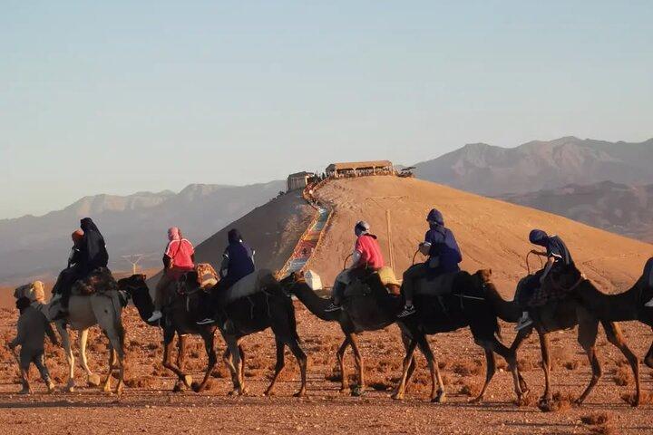 Marrakech Agafay Desert Quad and Camel Rides with Dinner Show