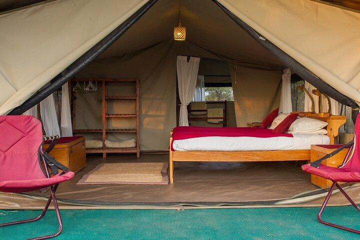 Perfect 2-Day Tanzania Safari to Tarangire and Ngorongoro Tour