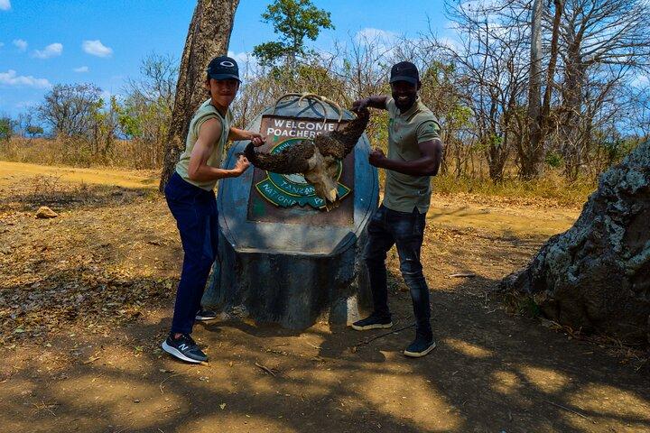 Private Safari in Mikumi National Park from Dar es Salaam