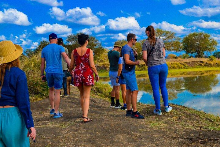 Private Safari in Mikumi National Park from Dar es Salaam