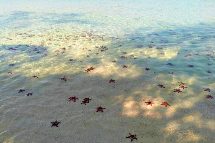 Starfish Beach and Floating Village Combo Boat Trip Seafood Lunch