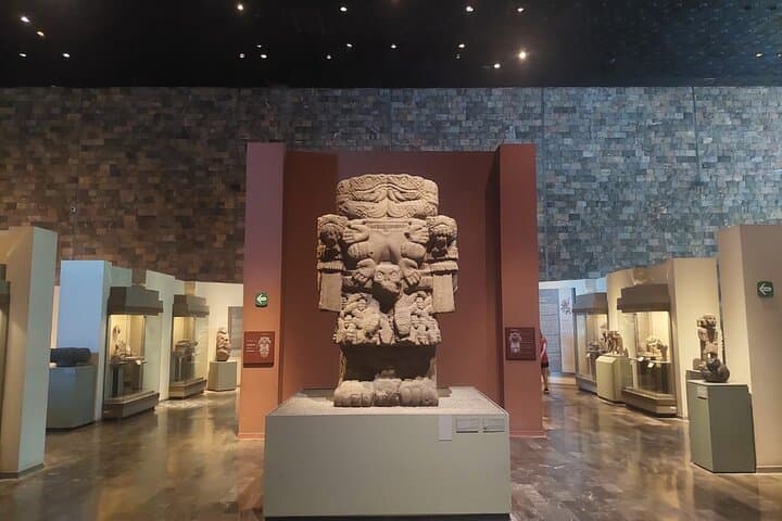 Private tour of the Museum of Anthropology in Mexico City