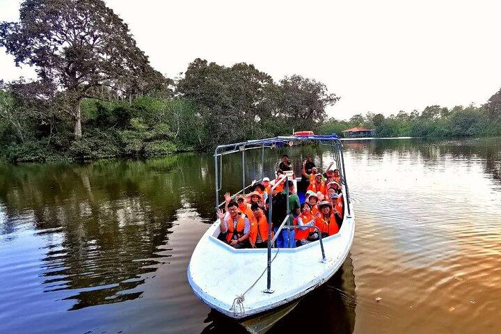 Klias River Cruise and Proboscis Monkey