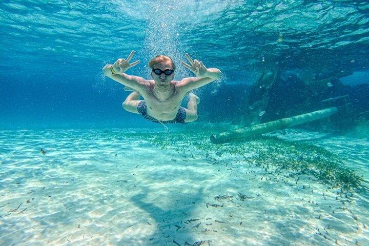 Cancun to Isla Mujeres Tour Experience