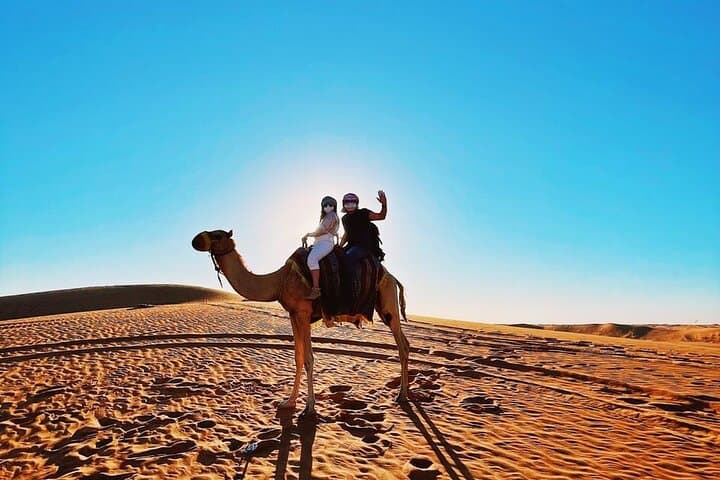 Dubai Desert Safari By Buggy Or Quad Bike with 5 Star BBQ Dinner.