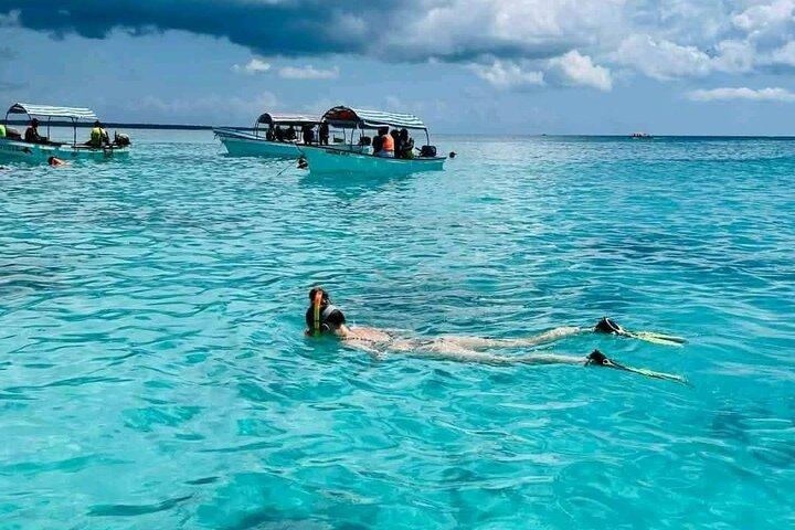 Private Half Day Dolphins and Snorkeling in Mnemba