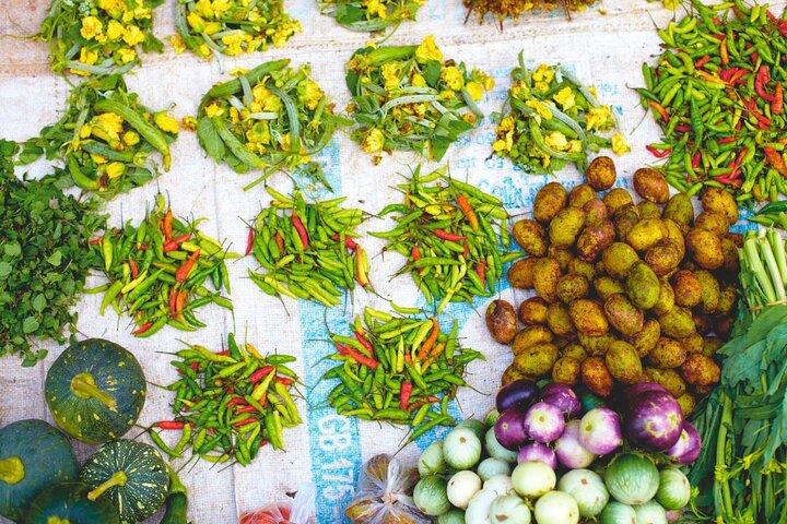 Luang Prabang Alms Giving Ceremony and Mekong Cruise with Lunch