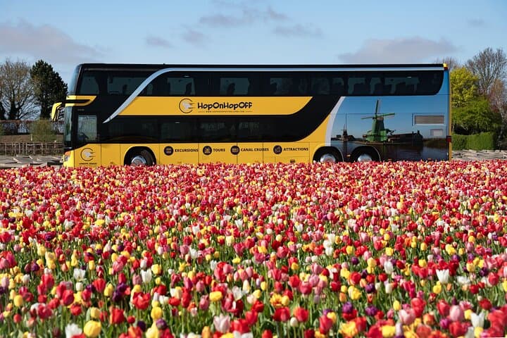Amsterdam: Keukenhof Entry & Shuttle Bus with Flexible Return