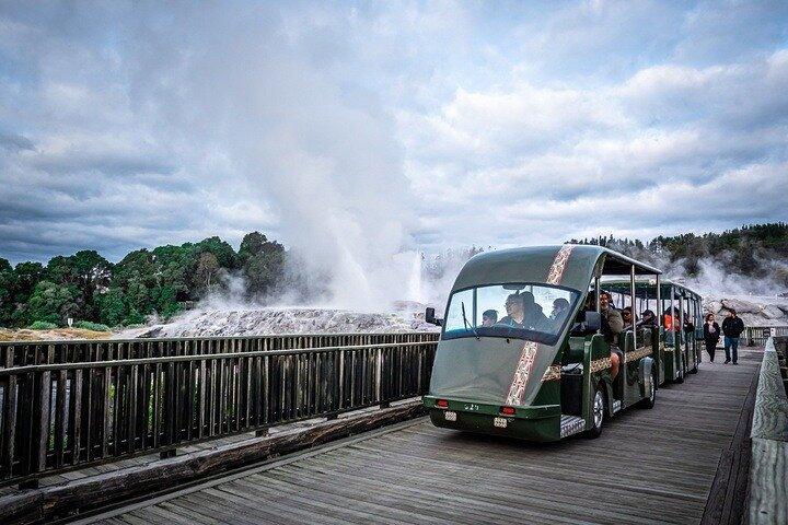 Auckland: Te Puia Rotorua & Waitomo Caves Small Group with Lunch