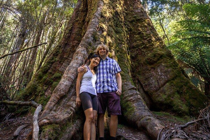 Hobart: Waterfalls, Wilderness & Wildlife - Active Day Tour