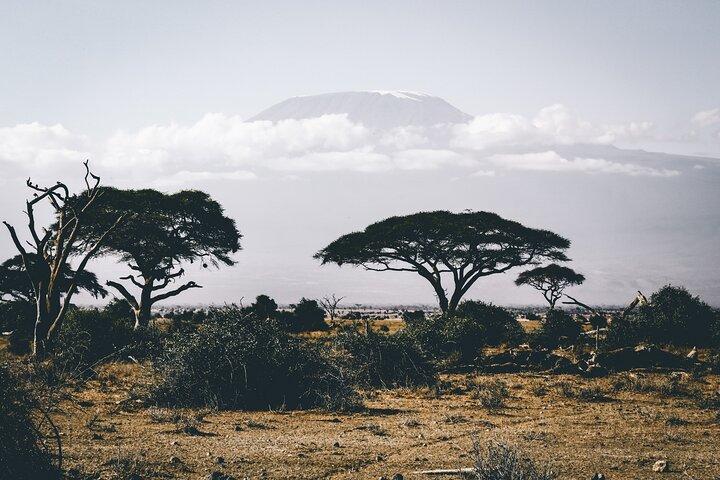 3 Day Amboseli Safari from Nairobi with Game Drives and Wildlife