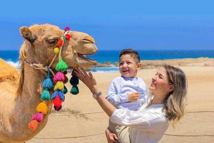 Cabo Camel Ride Experience with Tequila Tasting