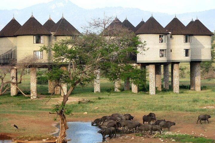 3 Days Safari to Saltlick lodge From Nairobi