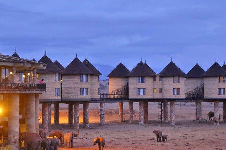 3 Days Safari to Saltlick lodge From Nairobi