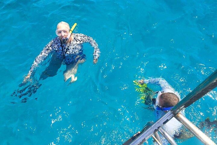Pelican Rock Snorkeling and Sightseeing Adventure