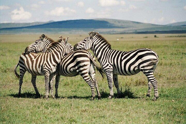 Hell's Gate and Lake Naivasha Bike Tour from Nairobi