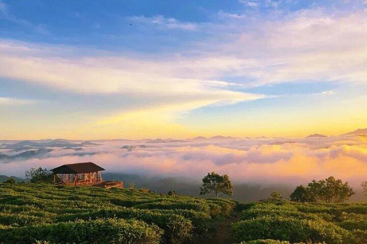 Dalat Morning Glory A Sunrise and Cloud Hunting Tour