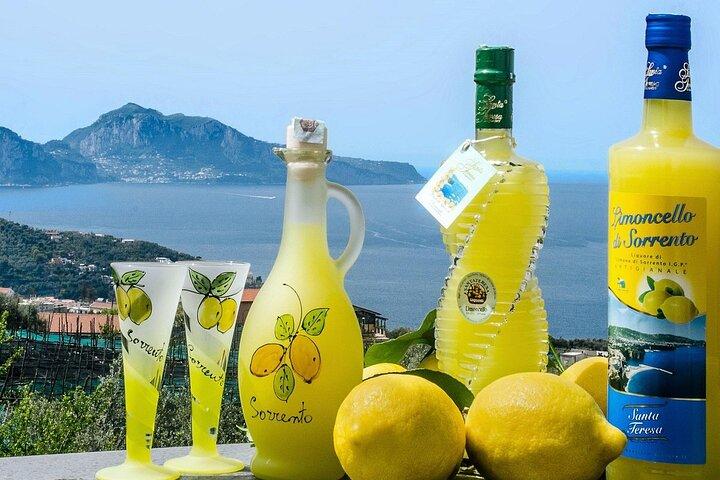 Tour to Positano and Sorrento from Salerno
