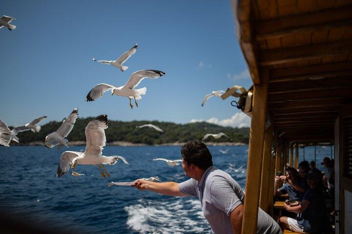 Elaphite island Hopping & City Walls Cruise with Food and Bar