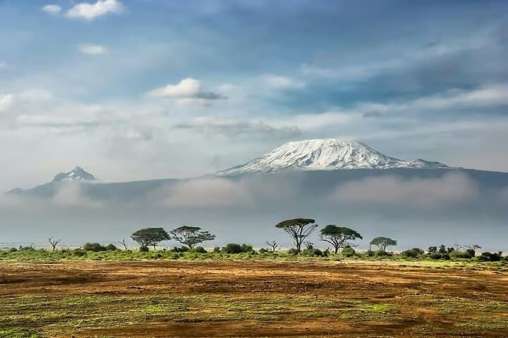 Day Tour to Amboseli National Park and Maasai Village