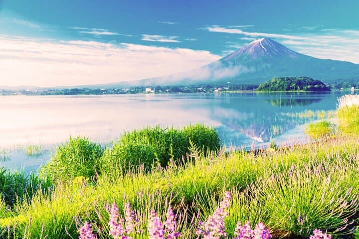 Mt. Fuji and Hakone Private Car Day Trip: Customizable Itinerary