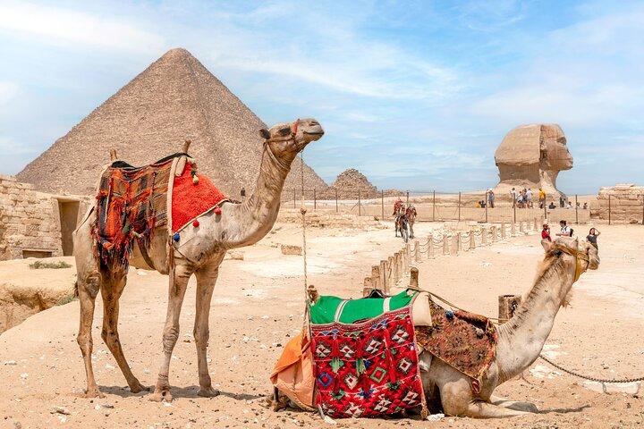 Discover Cairo, Great Pyramids & Quad Bike - From Sharm By Bus